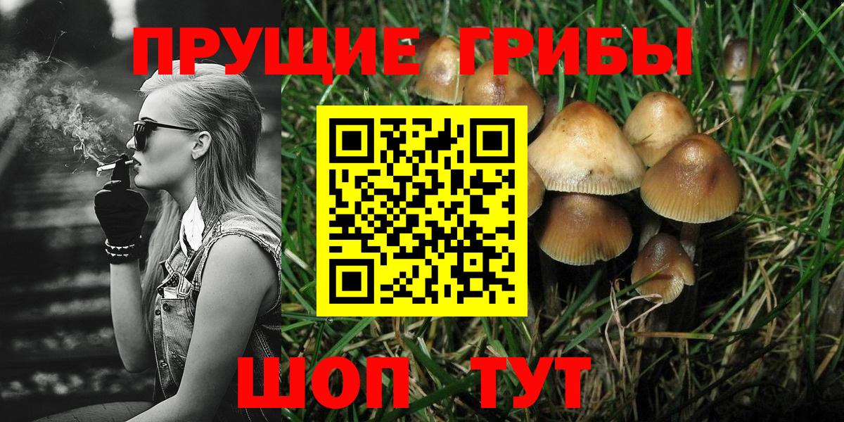 Псилоцибиновые грибы Psilocybine cubensis Нефтеюганск